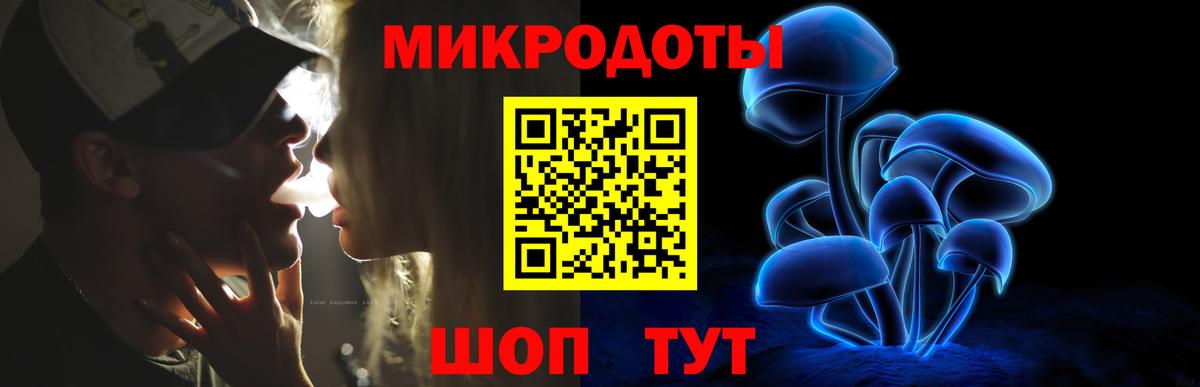 Псилоцибиновые грибы Psilocybe Павловский Посад